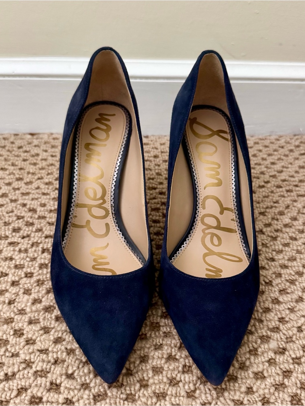 Sam Edelman Navy Suede Pointed Toe Pumps